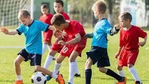 郑钦文不敌萨巴伦卡止步八强，央视新闻客户端最新报道