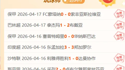 荷兰混合接力短道速滑创世界最佳纪录——新华通讯社讯