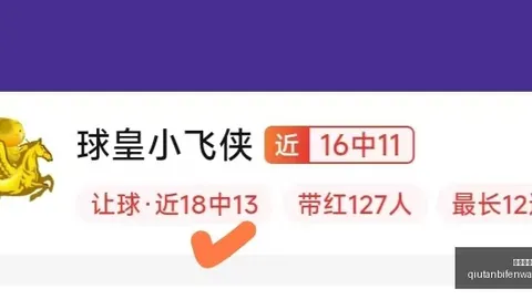 球探足球比分 124147 25